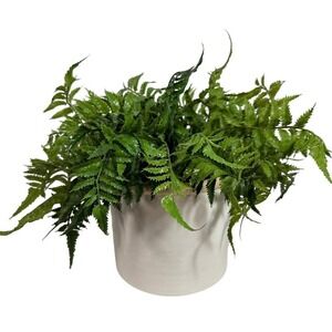 Threshold Artificial Fern Plant in White Glaze Ceramic Pot Indoor Faux Greenery